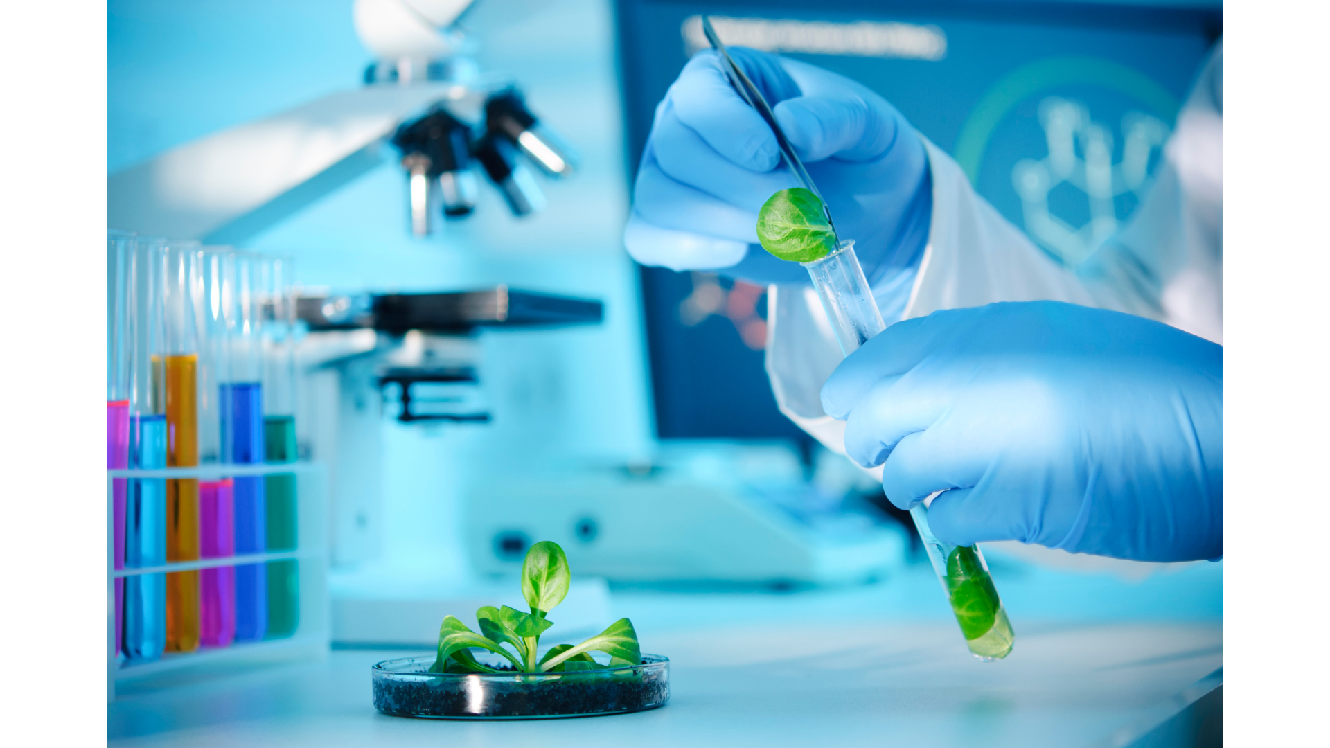 Biosecurity Solutions